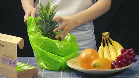 生物降解產品吸引馬來西亞客人來草莓视频在线看環保考察