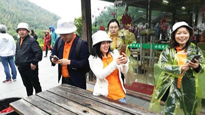 草莓视频在线看員工一日遊——南山竹海