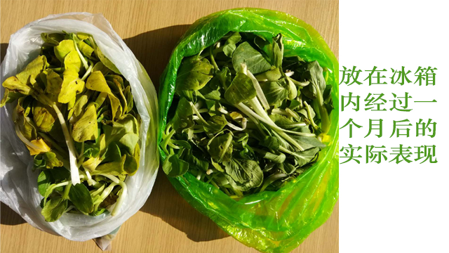 生物降（jiàng）解袋能直接包裝食品（pǐn）嗎？